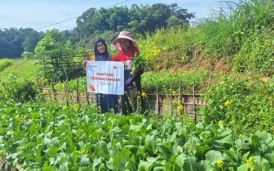 Program BURSA Rumah Zakat Dorong Panen Sayur di Desa Berdaya Tarongko