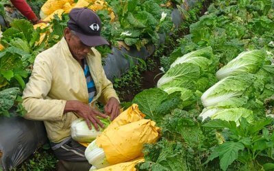 Relawan Inspirasi Lakukan Monitoring Program Ekonomi Rumah Zakat di Kampung Cibeureum