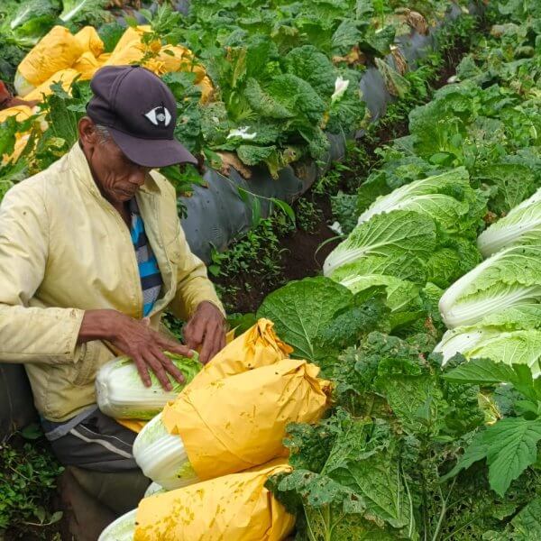 Program Ekonomi Rumah Zakat