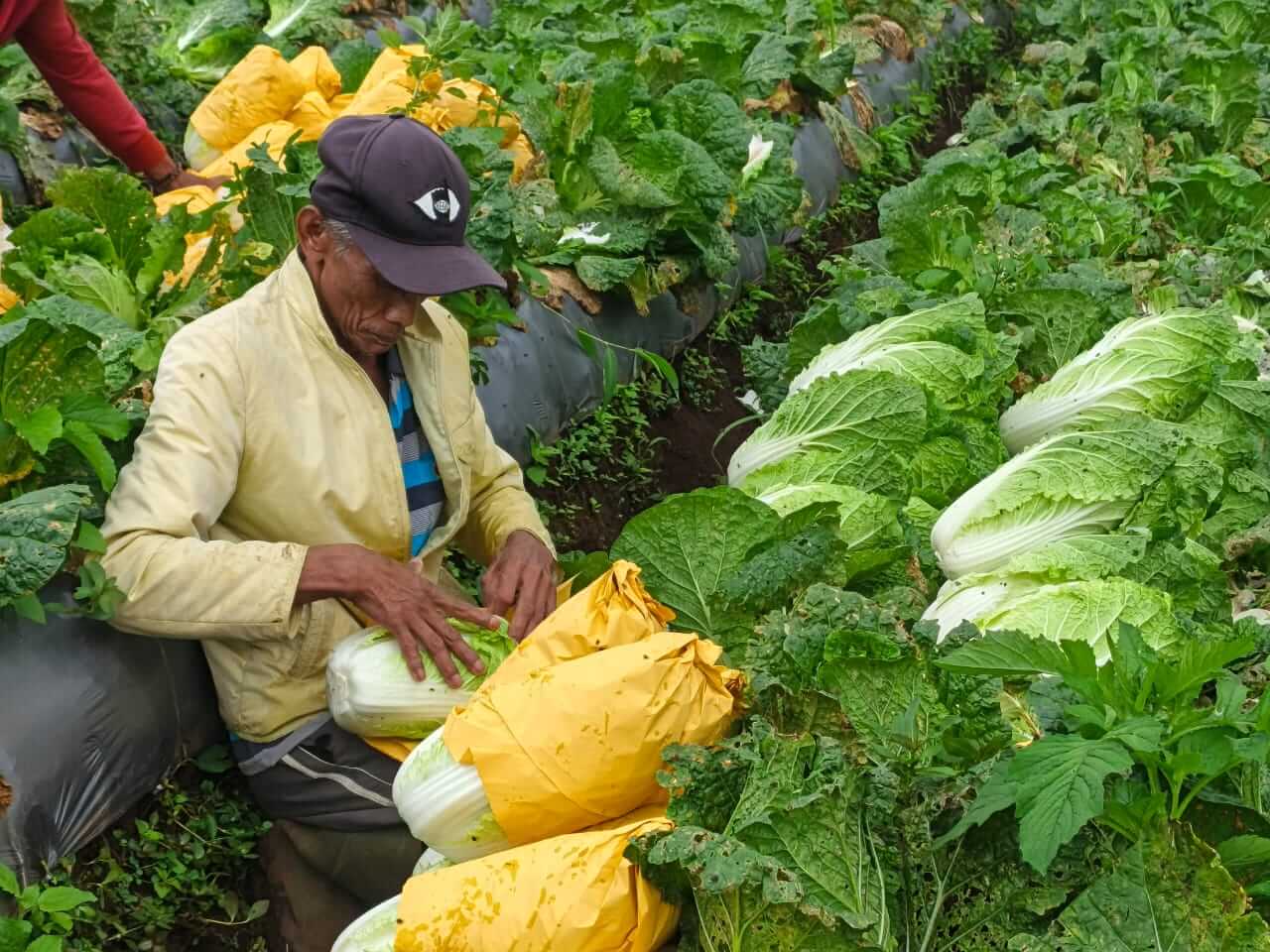 Program Ekonomi Rumah Zakat