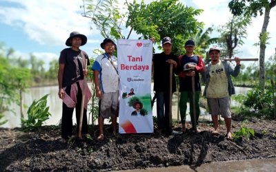 Rumah Zakat Perkuat Ketahanan Pangan melalui Penanaman Padi Sehat di Desa Gelanggang