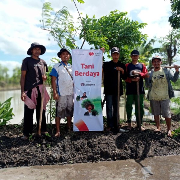 Rumah Zakat Dukung Penanaman Padi Sehat di Desa Gelanggang Lombok Timur