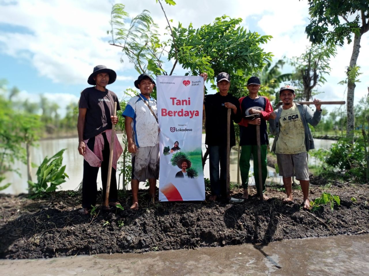 Rumah Zakat Dukung Penanaman Padi Sehat di Desa Gelanggang Lombok Timur