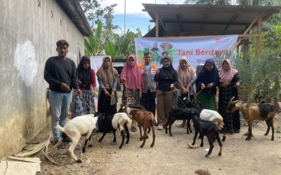 Tingkatkan Ekonomi Warga, Rumah Zakat Salurkan Modal Ternak Kambing untuk Petani di Desa Matang Neuheun