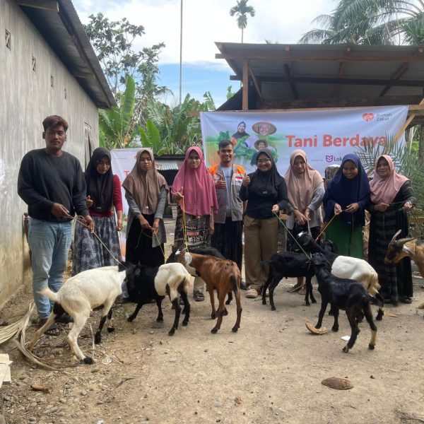 modal ternak kambing Rumah Zakat Aceh Besar