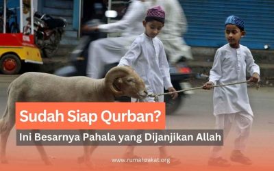 Sudah Siap Qurban? Ini Besarnya Pahala yang Dijanjikan Allah