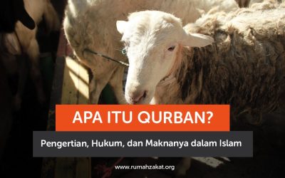 Apa Itu Kurban? Pengertian, Hukum, dan Maknanya dalam Islam