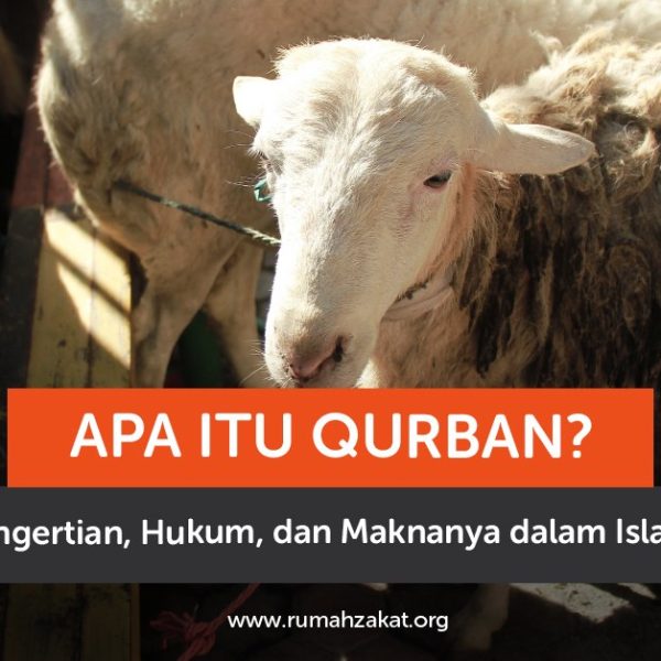 Apa Itu Qurban? Pengertian, Hukum, dan Maknanya