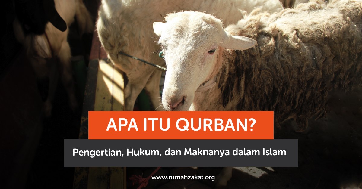 photo_2026-04-10_05-38-41 Apa Itu Qurban? Pengertian, Hukum, dan Maknanya