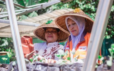 Dorong Lansia Produktif, Rumah Zakat Hadirkan Program Kebun Gizi di Ratujaya