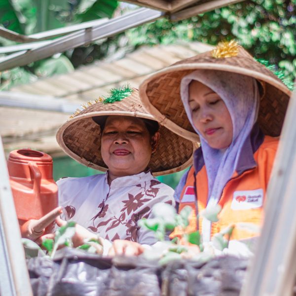 Kebun Gizi Rumah Zakat Ratujaya bantu lansia tetap aktif, sehat, dan produktif melalui kegiatan bercocok tanam.
