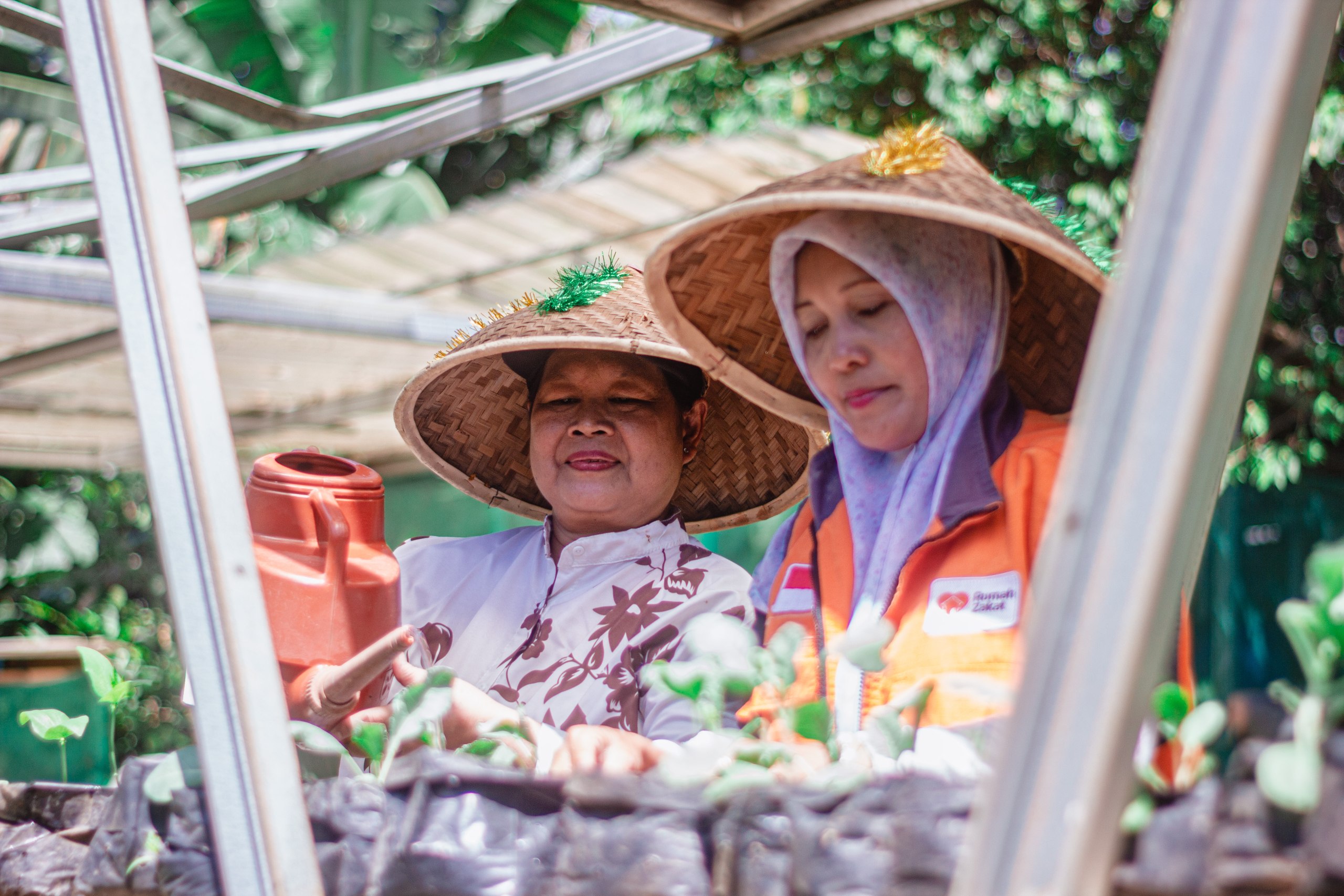 Kebun Gizi Rumah Zakat Ratujaya bantu lansia tetap aktif, sehat, dan produktif melalui kegiatan bercocok tanam.
