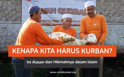 Kenapa Kita Harus Kurban? Ini Alasan dan Hikmahnya dalam Islam