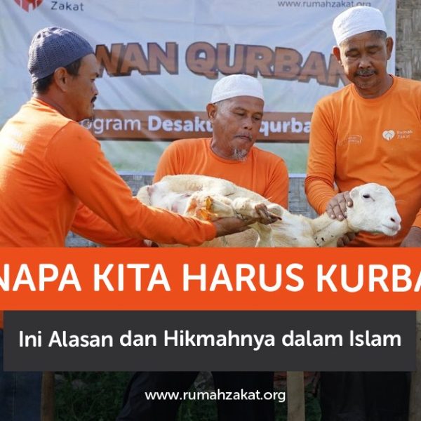 Kenapa kita harus kurban? Simak alasan, hukum, dan hikmah kurban dalam Islam yang penuh makna dan keberkahan.