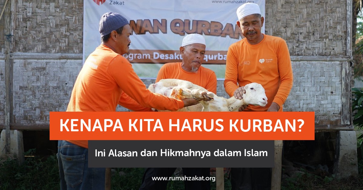 Kenapa kita harus kurban? Simak alasan, hukum, dan hikmah kurban dalam Islam yang penuh makna dan keberkahan.