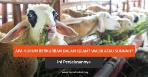 Hukum berkurban dalam Islam wajib atau sunnah? Simak penjelasan lengkap beserta dalil dan pendapat ulama di sini.