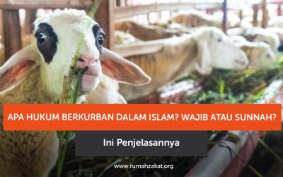 Apa Hukum Berkurban dalam Islam? Wajib atau Sunnah? Ini Penjelasannya