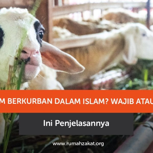 Hukum berkurban dalam Islam wajib atau sunnah? Simak penjelasan lengkap beserta dalil dan pendapat ulama di sini.