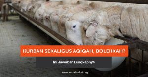 Bolehkah kurban sekaligus aqiqah? Simak penjelasan hukum, dalil, dan pendapat ulama lengkap di sini.