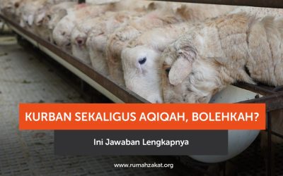 Kurban Sekaligus Aqiqah, Bolehkah? Ini Jawaban Lengkapnya