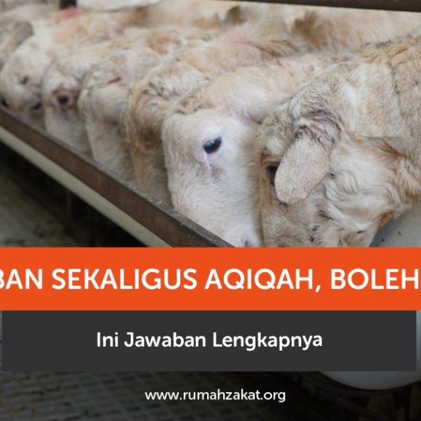 Bolehkah kurban sekaligus aqiqah? Simak penjelasan hukum, dalil, dan pendapat ulama lengkap di sini.