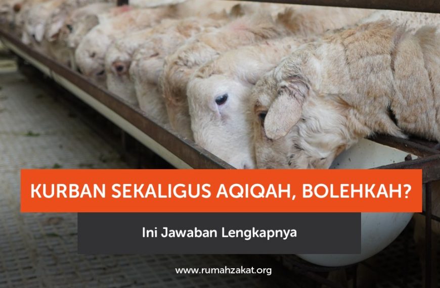 Bolehkah kurban sekaligus aqiqah? Simak penjelasan hukum, dalil, dan pendapat ulama lengkap di sini.