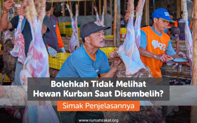 Bolehkah Tidak Melihat Hewan Kurban Saat Disembelih? Simak Penjelasannya