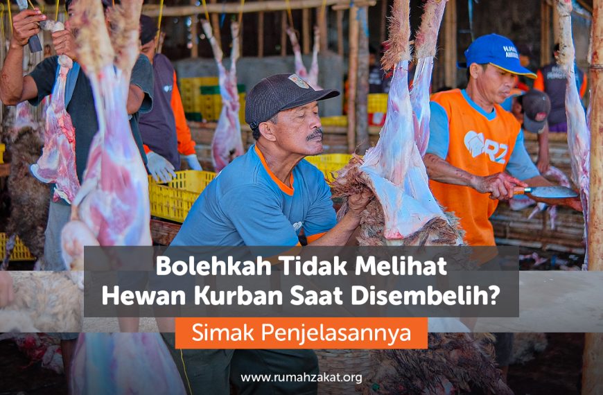 Bolehkah tidak melihat hewan kurban saat disembelih? Simak hukum, dalil, dan penjelasan ulama mengenai menyaksikan penyembelihan hewan kurban dalam Islam.