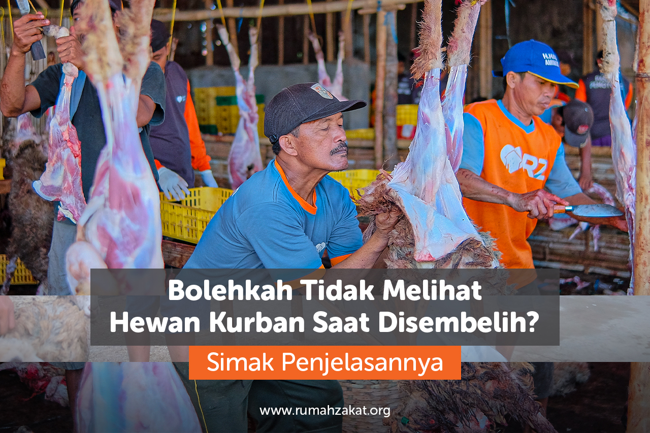 Bolehkah Bolehkah tidak melihat hewan kurban saat disembelih? Simak hukum, dalil, dan penjelasan ulama mengenai menyaksikan penyembelihan hewan kurban dalam Islam.