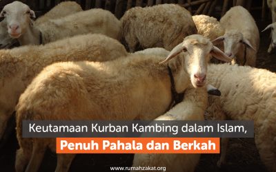 Keutamaan Kurban Kambing dalam Islam, Penuh Pahala dan Berkah