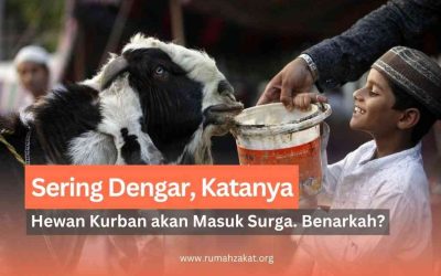 Sering Dengar, Katanya Hewan Kurban akan Masuk Surga. Benarkah?