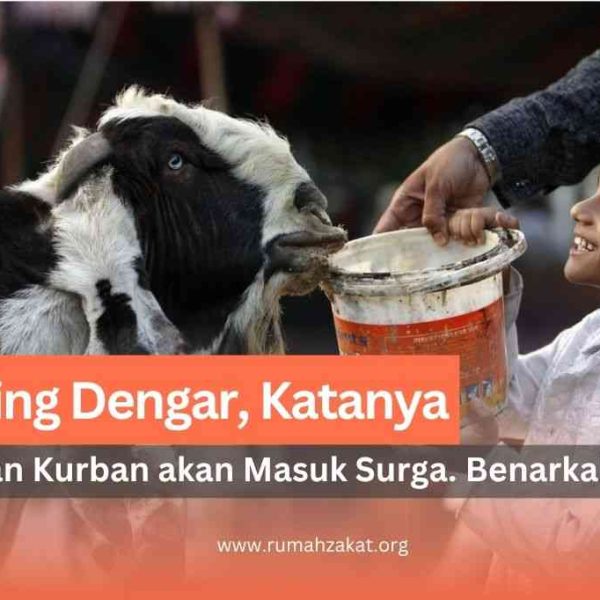 apakah hewan kurban masuk surga