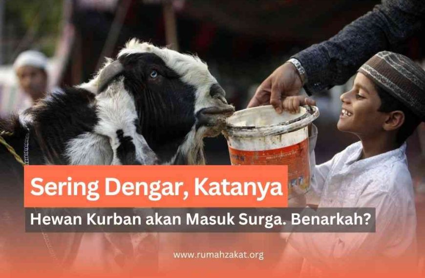 apakah hewan kurban masuk surga