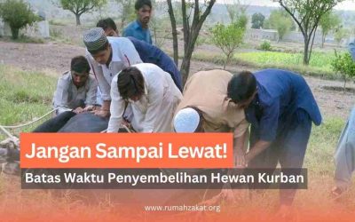 Jangan Sampai Lewat! Ini Batas Waktu Penyembelihan Hewan Kurban