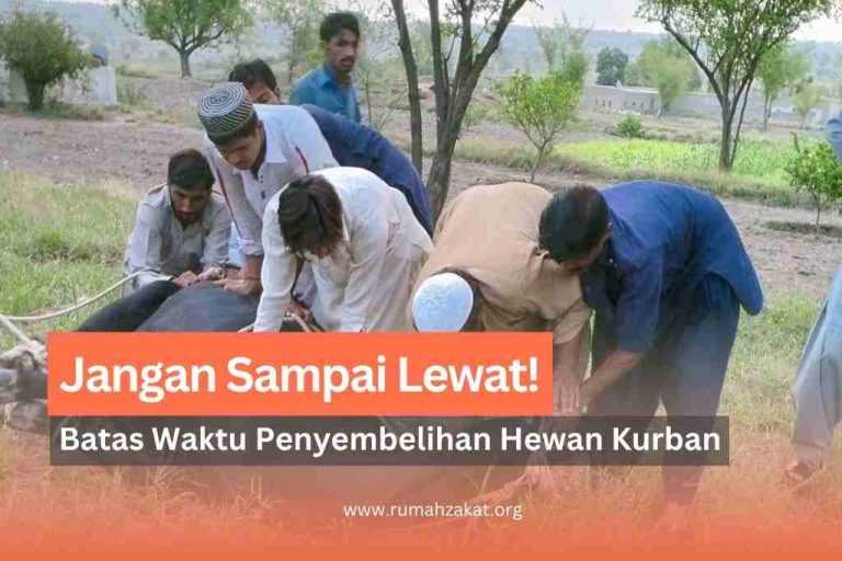 Jangan Sampai Lewat! Ini Batas Waktu Penyembelihan Hewan Kurban