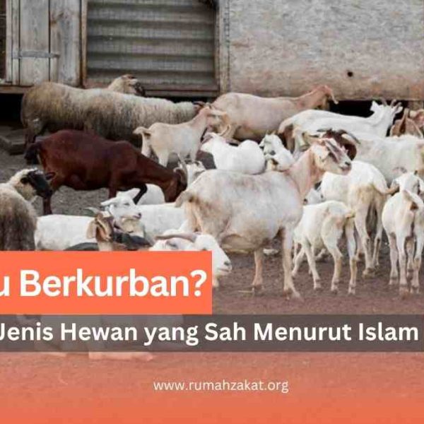 jenis hewan kurban