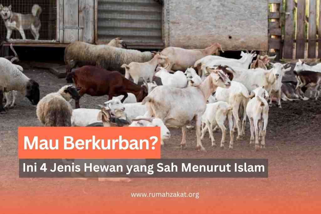jenis hewan kurban