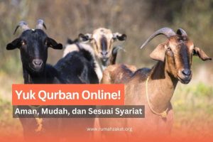 qurban online