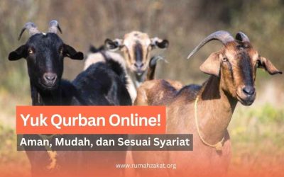 Yuk Qurban Online: Aman, Mudah, dan Sesuai Syariat