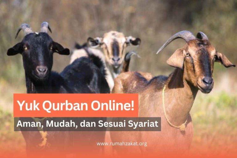Yuk Qurban Online: Aman, Mudah, dan Sesuai Syariat