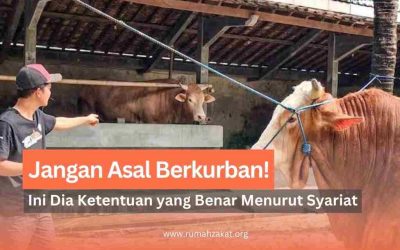 Jangan Asal Berkurban! Ini Dia Ketentuan yang Benar Menurut Syariat