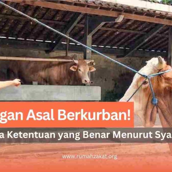 ketentuan kurban yang benar adalah