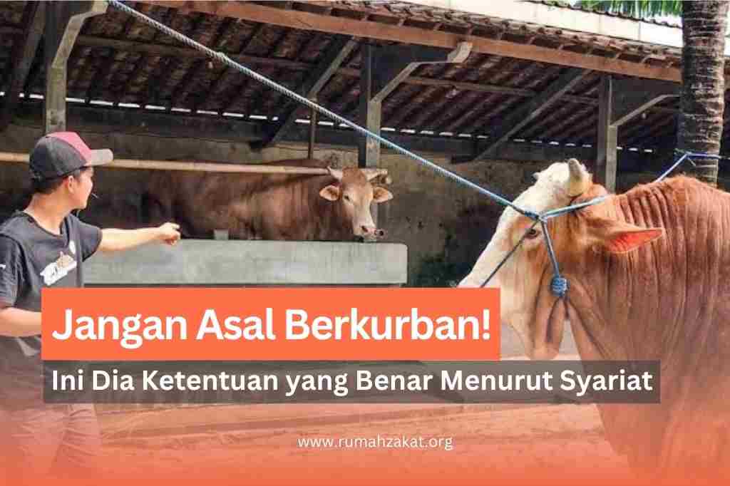 ketentuan kurban yang benar adalah