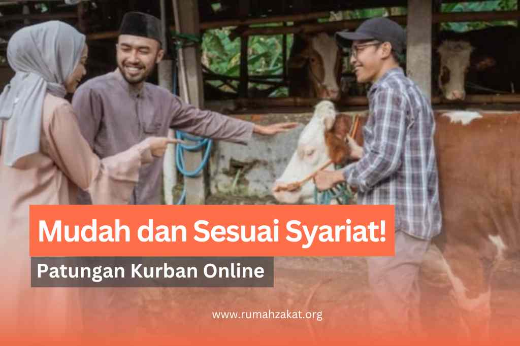 patungan kurban online