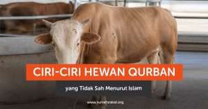 Apa saja hewan qurban yang tidak sah? Simak ciri-ciri, syarat, dan penjelasan lengkap menurut Islam beserta dalilnya.
