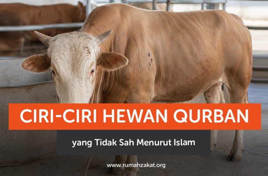 Apa saja hewan qurban yang tidak sah? Simak ciri-ciri, syarat, dan penjelasan lengkap menurut Islam beserta dalilnya.