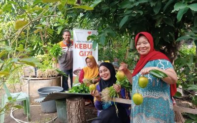 Rumah Zakat Dukung Panen Sayur Organik Kebun Gizi untuk Perkuat Ketahanan Pangan Masyarakat