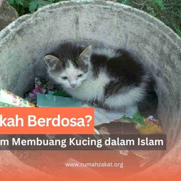 hukum membuang kucing menurut islam