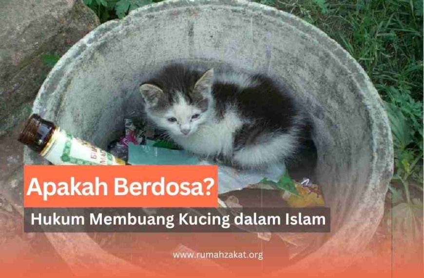 hukum membuang kucing menurut islam