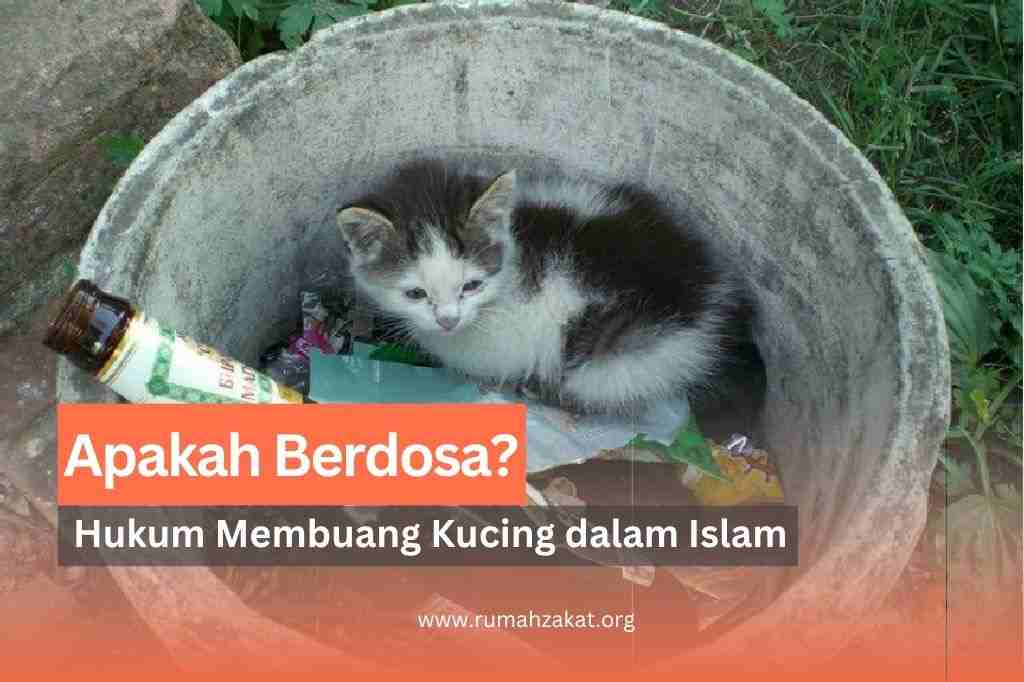 hukum membuang kucing menurut islam